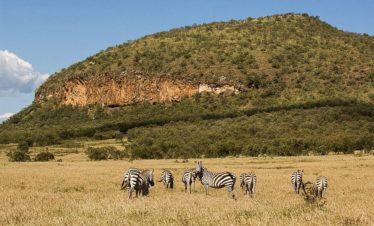 1-Day Hells Gate Bike Safari