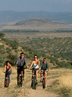 Family friendly safaris