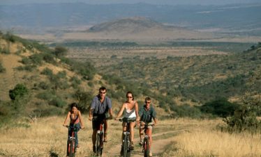 Family friendly safaris