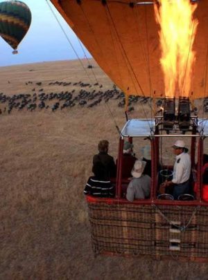 flying safari