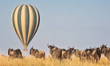 7-Day Spirit of Kenya by Far