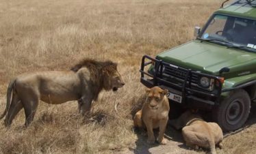 6-Day Magnificent Best of Kenya Safari