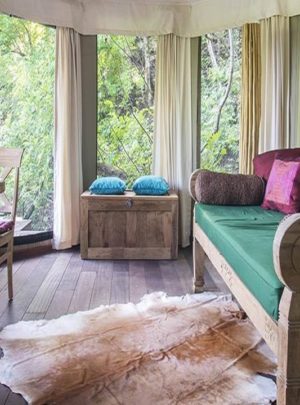 luxury safari