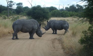 8-Day Kili & Mombasa Beach Safari