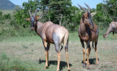 8-Day Lake Turkana Adventure Safari