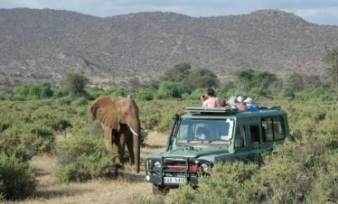 7-Day Spirit of Kenya by Far