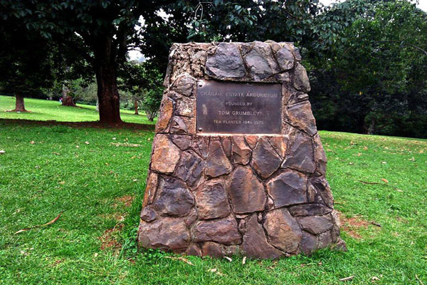 Chagaik Arboretum