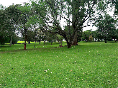 Chagaik Arboretum - Image 6