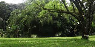 Chagaik Arboretum - Image 5