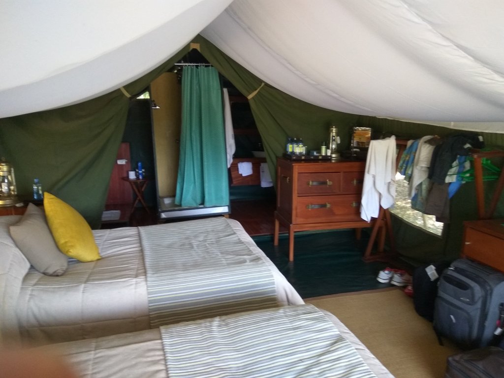 Entim Main Camp - Image 8