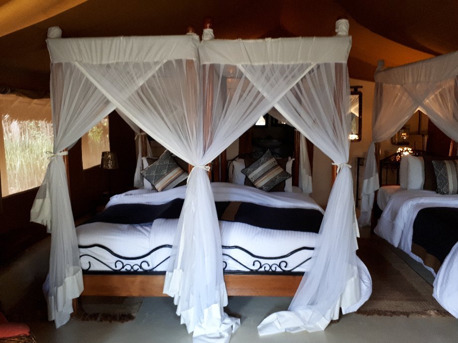Flamingo Hill Tented Camp - Image 2