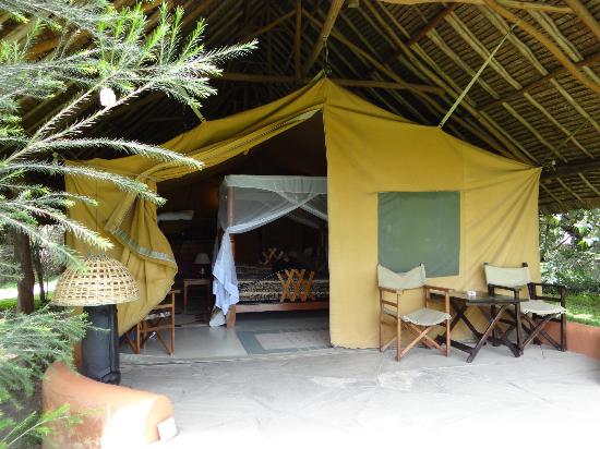 Flamingo Hill Tented Camp - Image 5