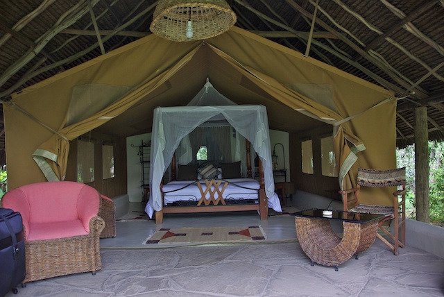 Flamingo Hill Tented Camp - Image 7