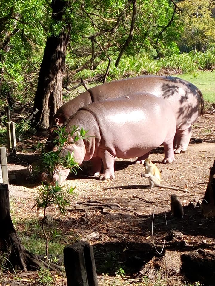 Haller Wildlife Park - Image 7