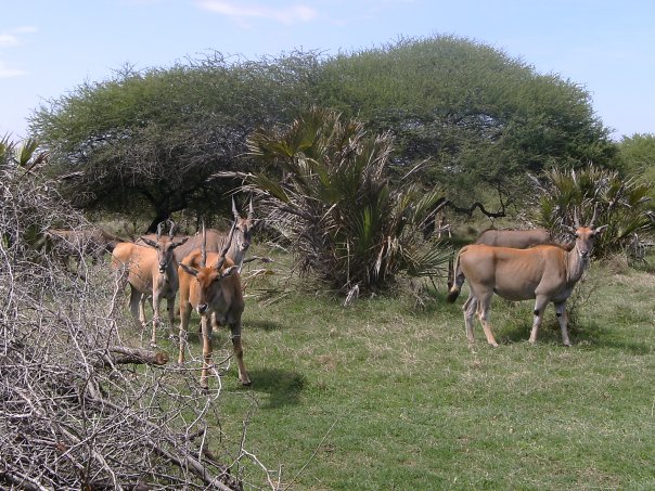 Haller Wildlife Park - Image 6
