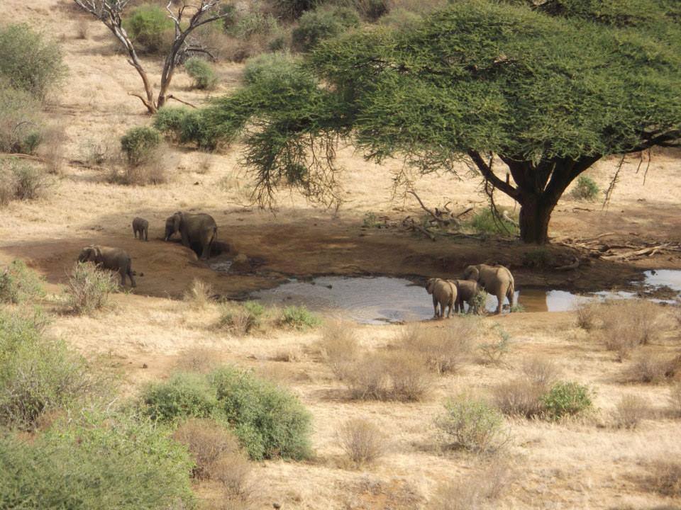 Il Ngwesi Wildlife Conservancy - Image 5