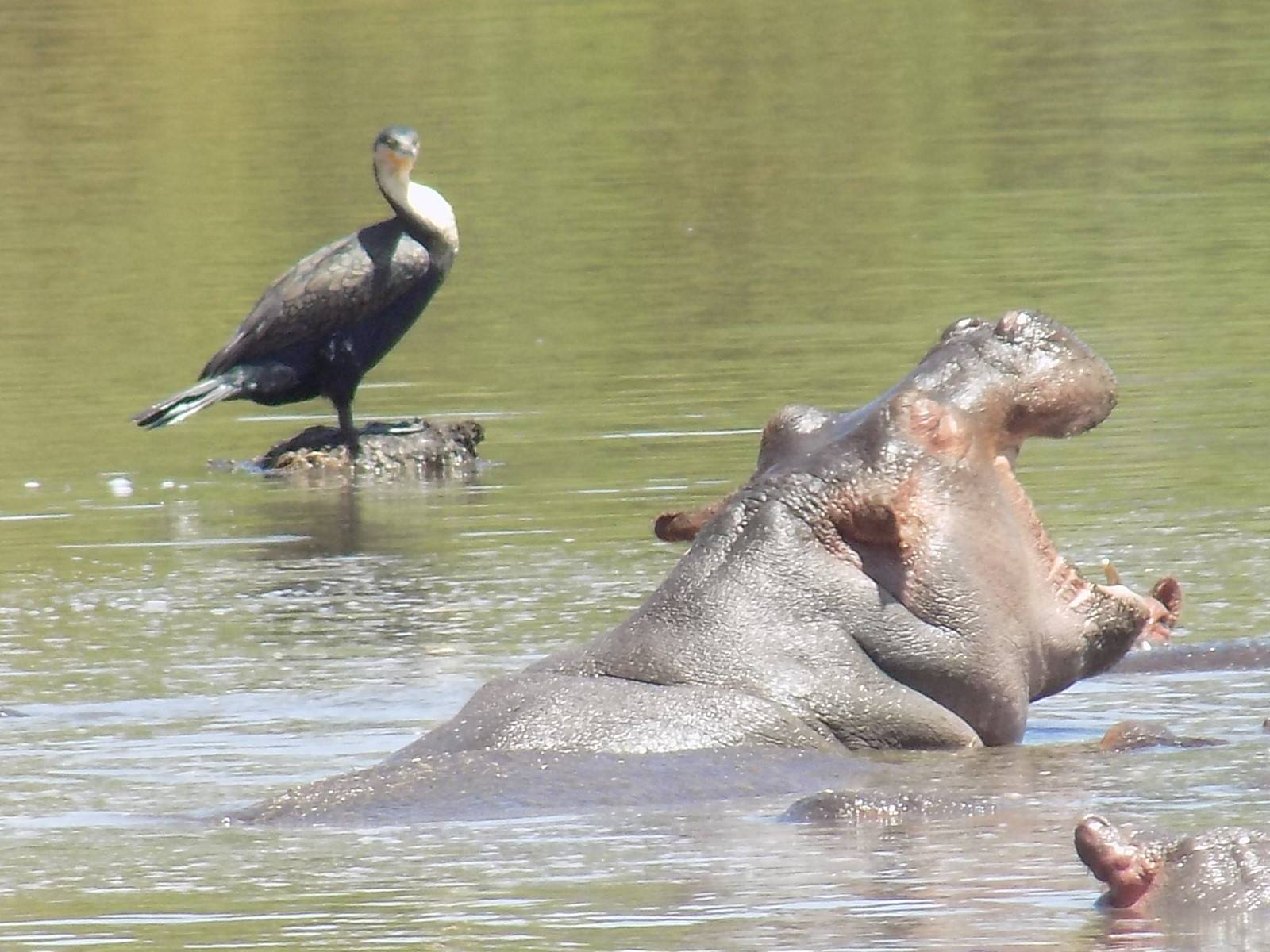 Kigio Wildlife Conservancy