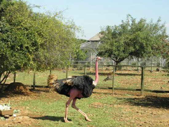 Kisumu Bird Sanctuary