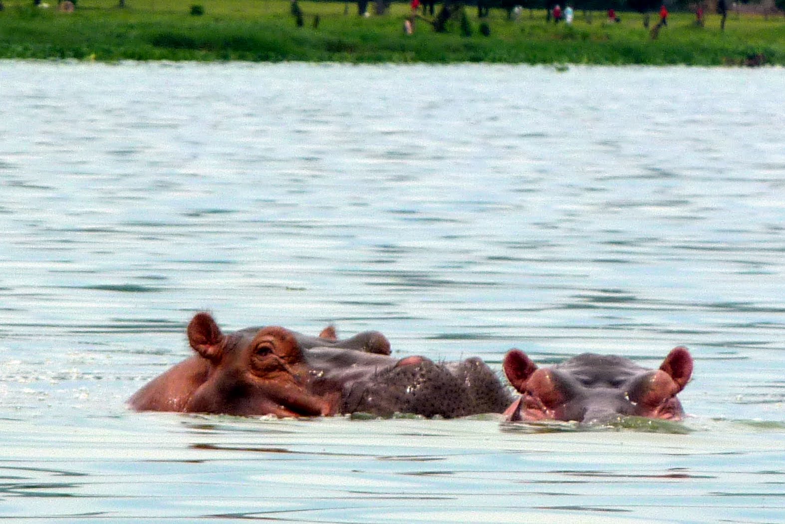 Kisumu Hippo Point - Image 6
