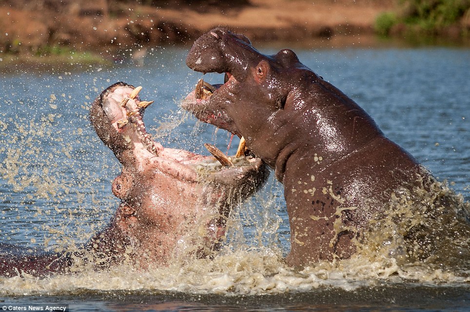 Kisumu Hippo Point