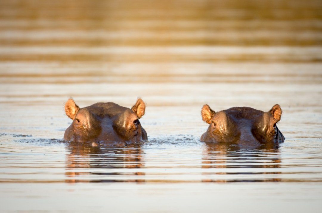 Kisumu Hippo Point - Image 3