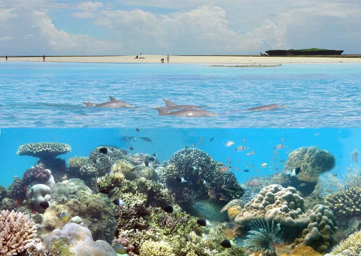 Kiunga Marine National Reserve