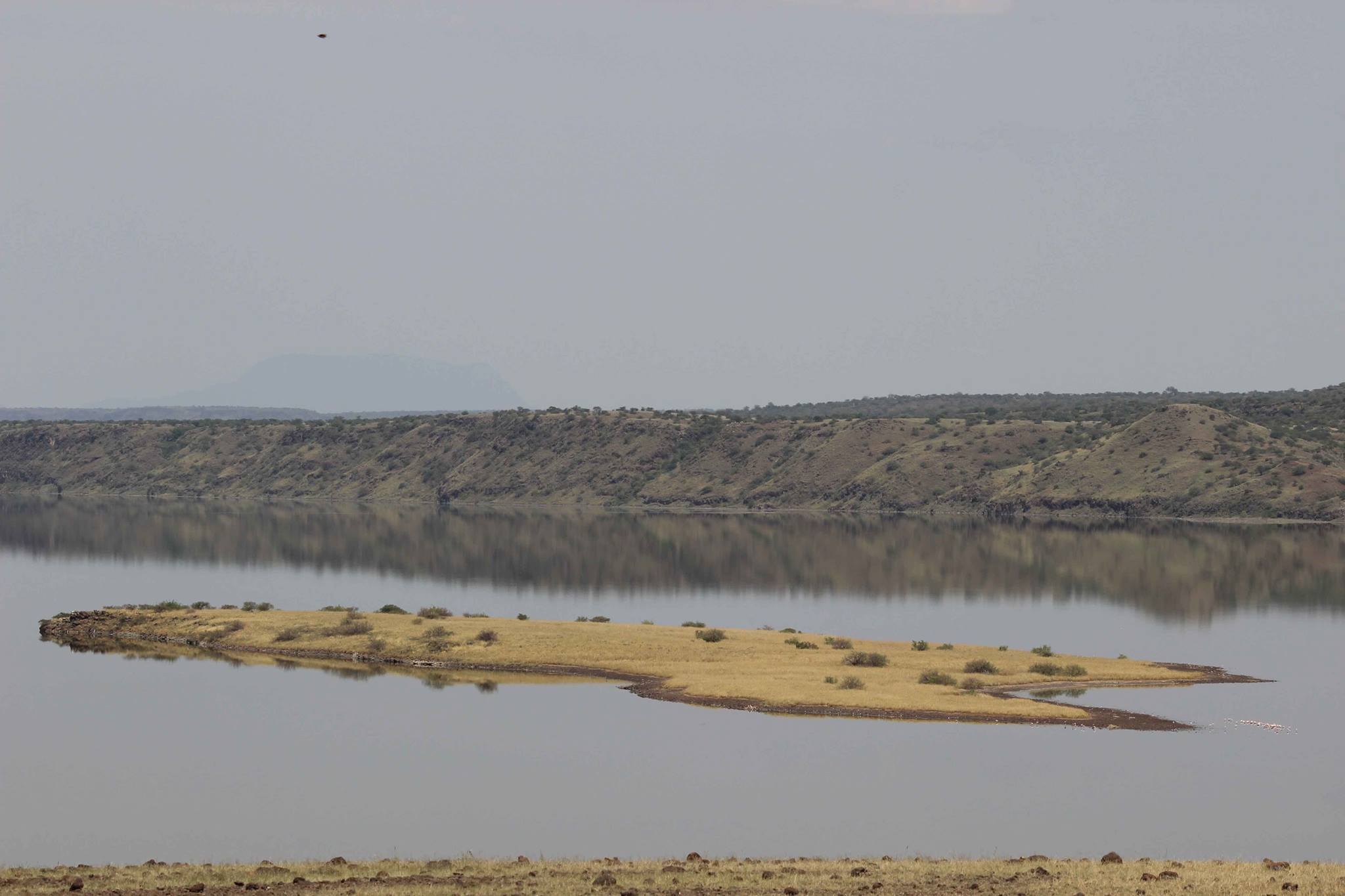 LAKE MAGADI - Image 6