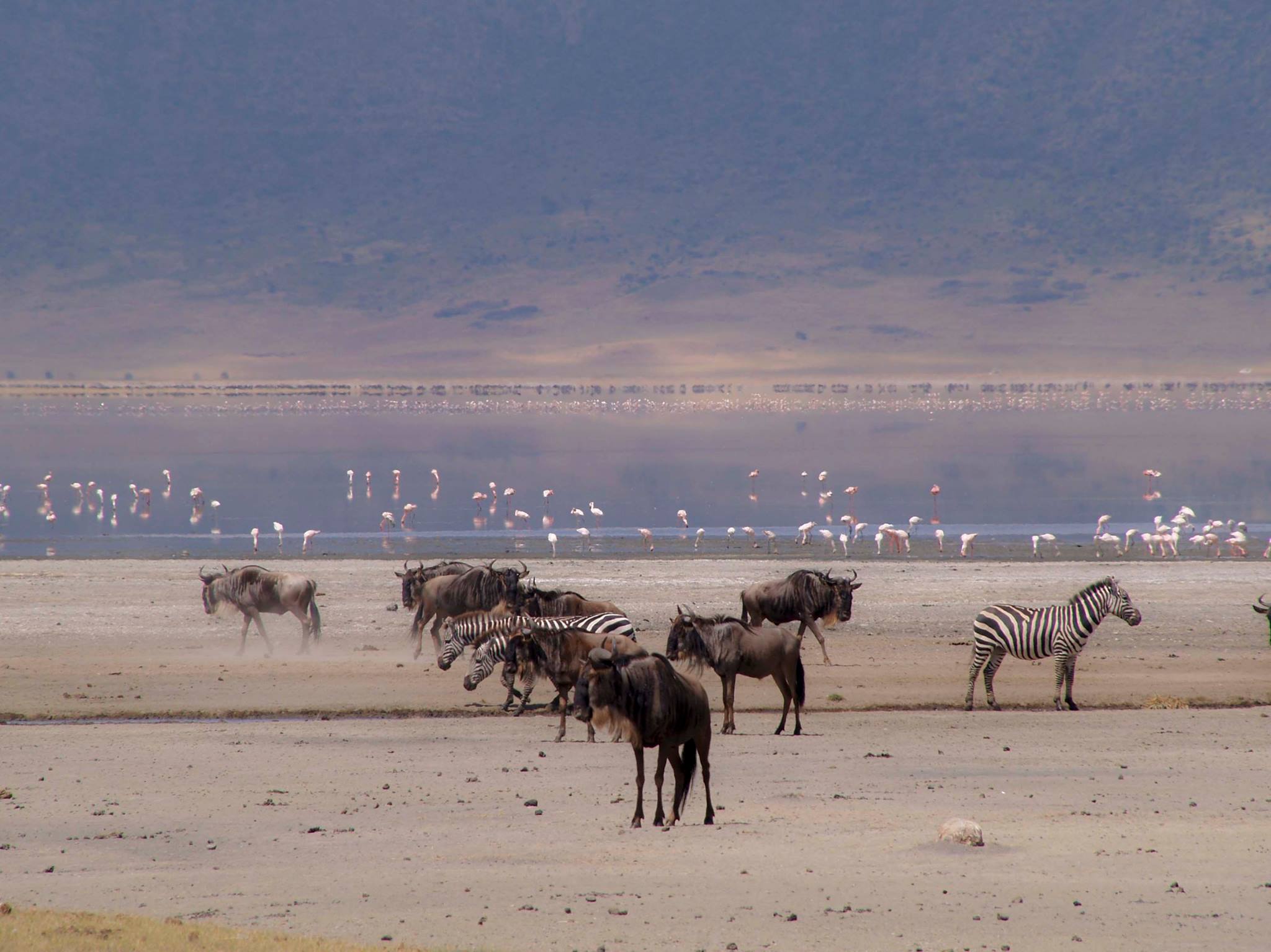 LAKE MAGADI - Image 5