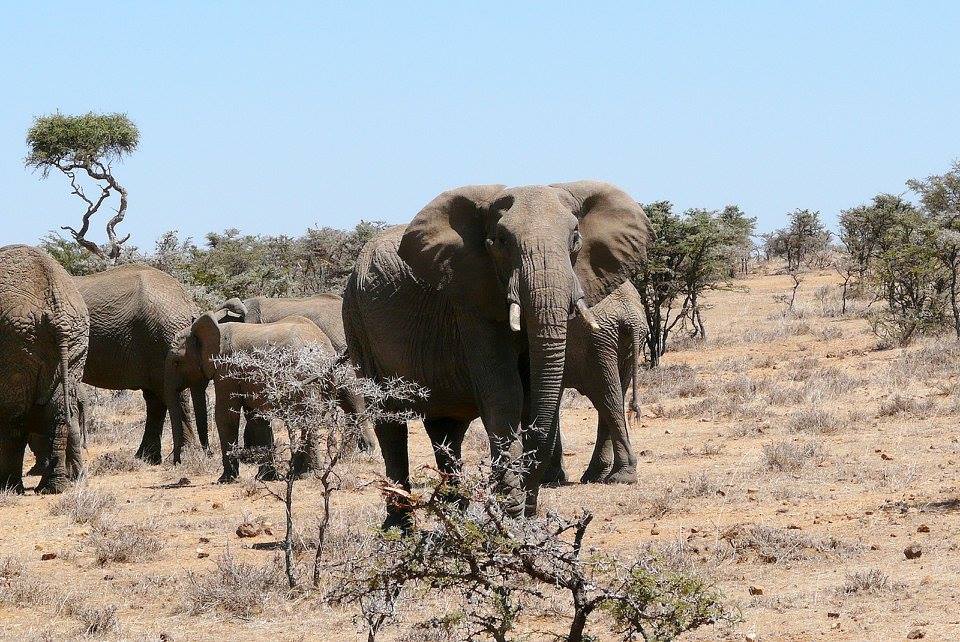 Laikipia Plateau - Image 3