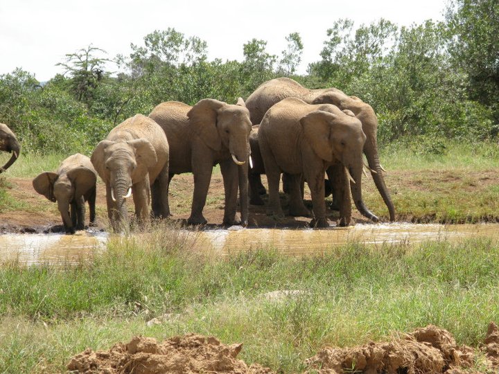Laikipia Plateau