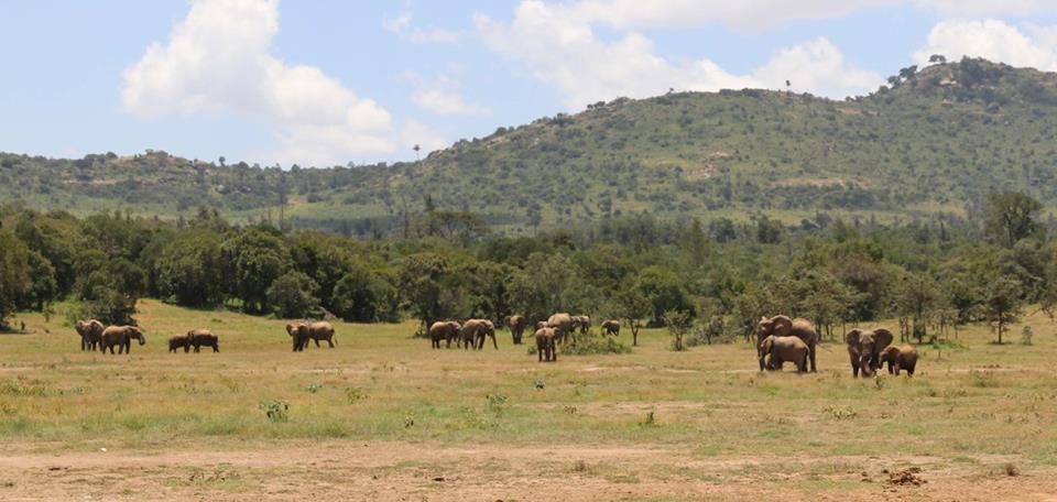 Laikipia Plateau - Image 2