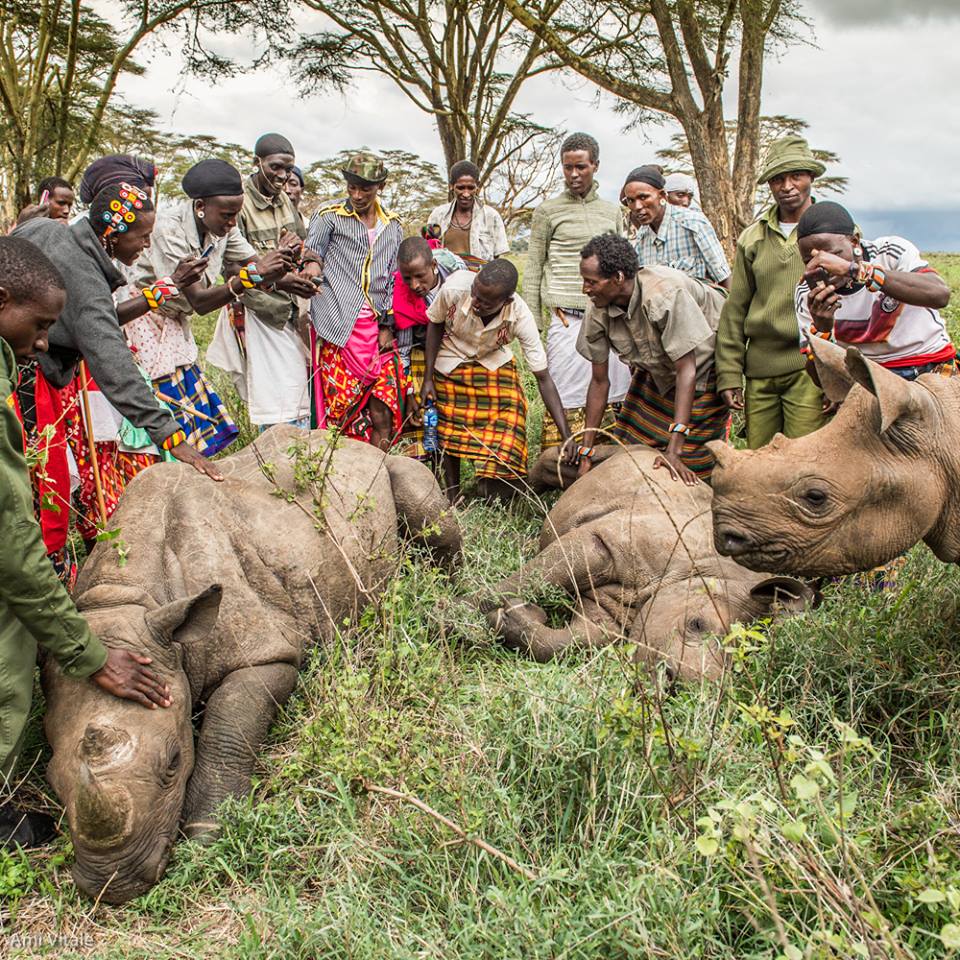 Lewa Wildlife Conservancy - Image 5