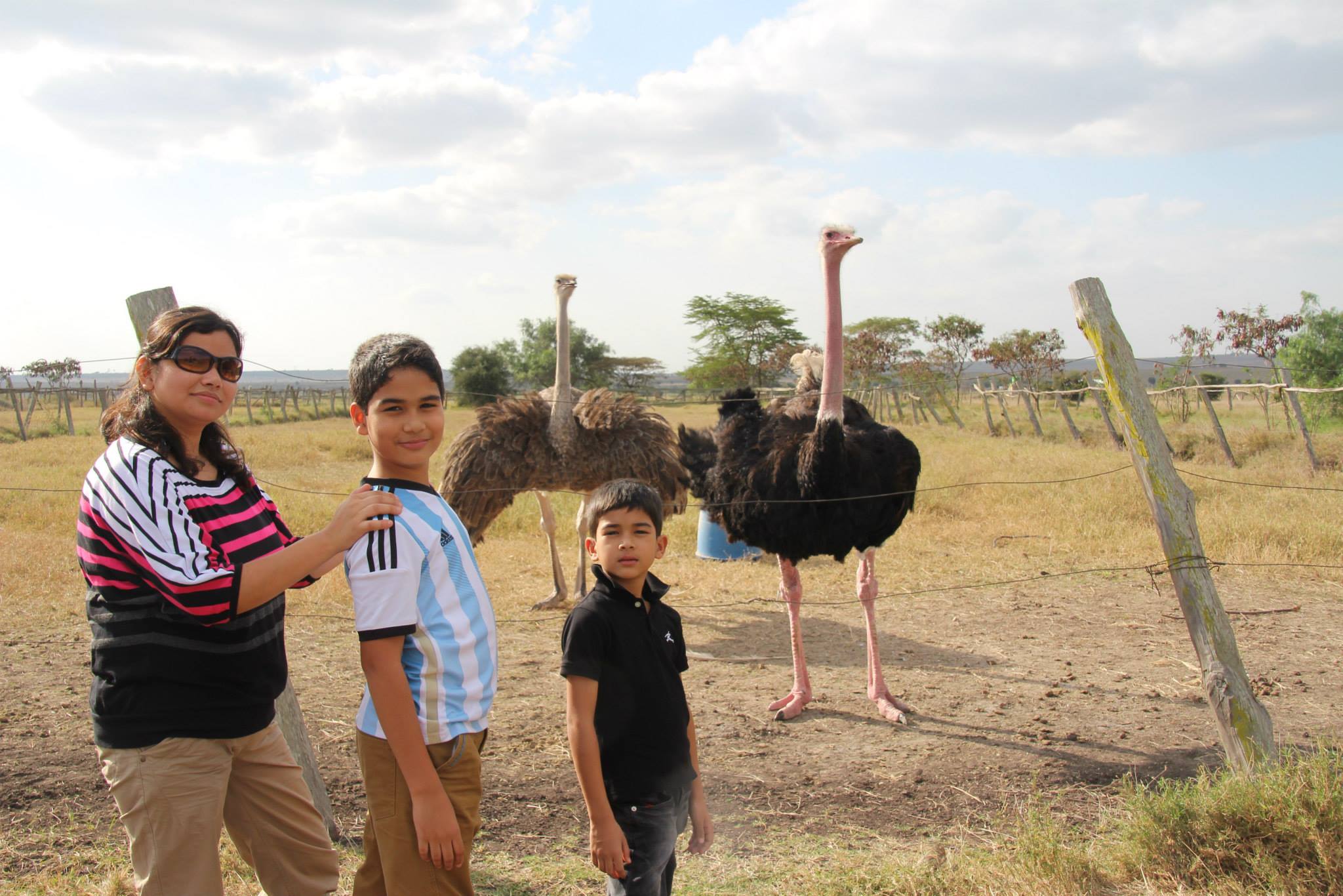 Maasai Ostrich Farm