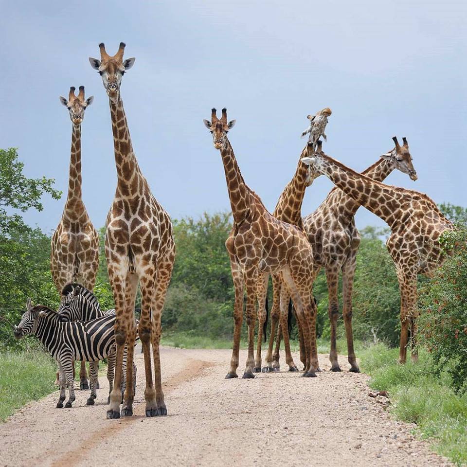 Malka Mari National Park - Image 3