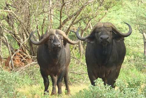 Malka Mari National Park - Image 2