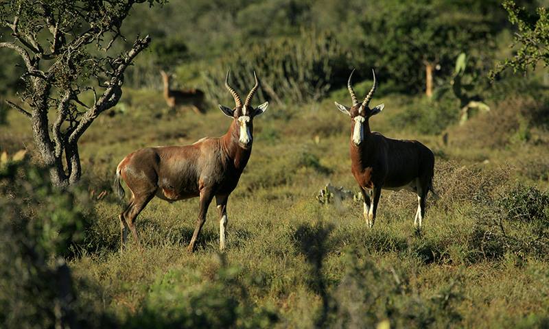 Malka Mari National Park