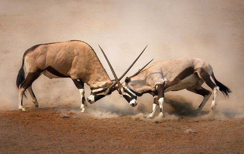 Malka Mari National Park - Image 6