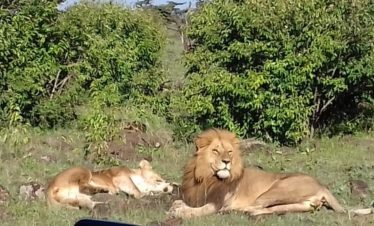 3-Day Masai Mara +Luxury Camping Safari