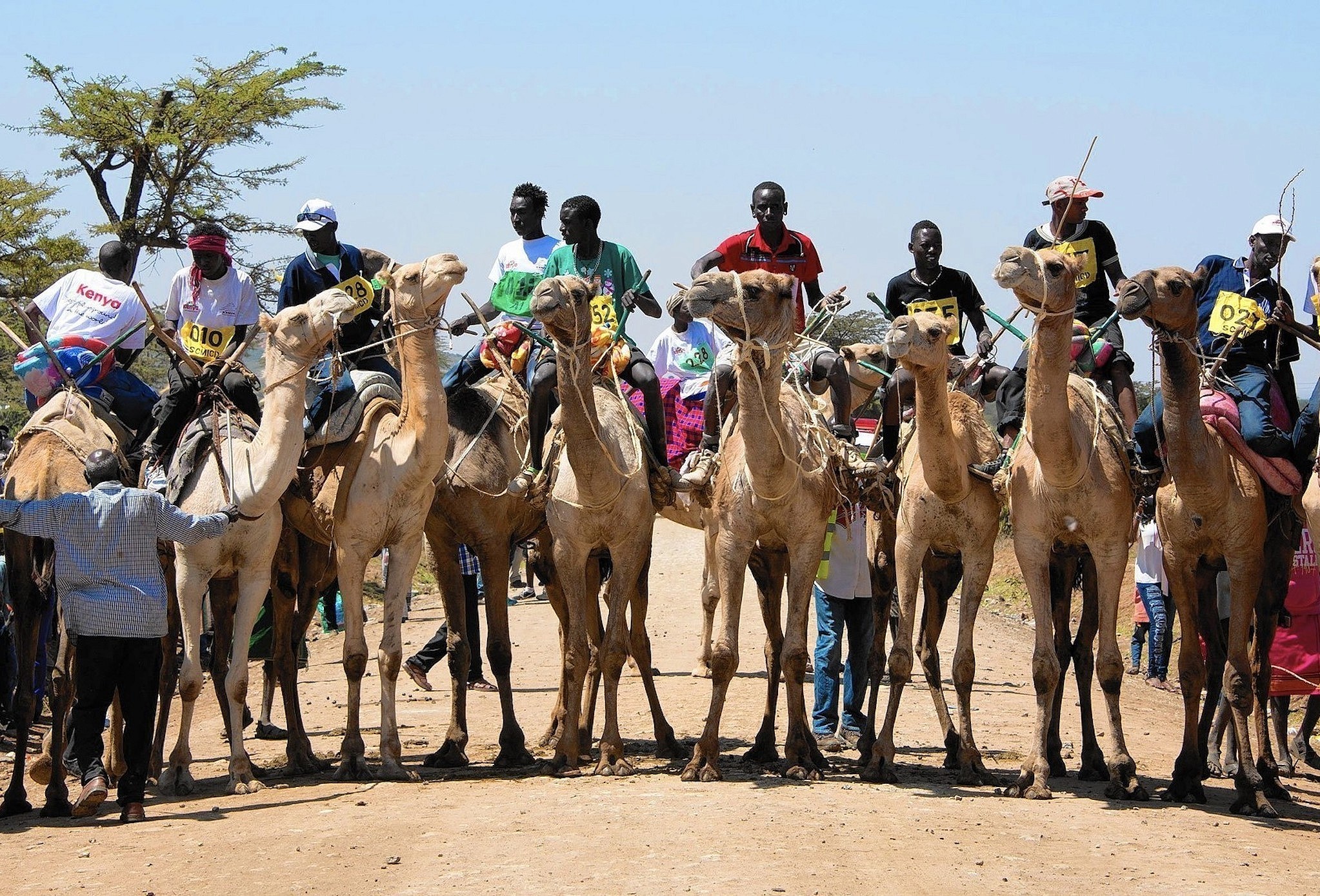 Samburu Maralal International Camel Derby - Image 3