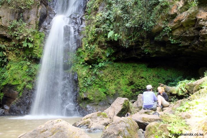 Mau Forest - Image 3