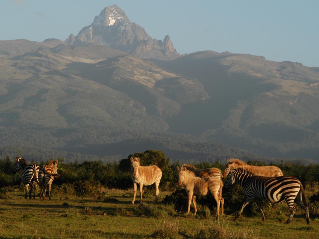 Mt. Kenya National Park - Image 2