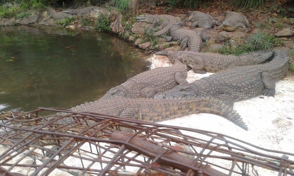 Nairobi Mamba Village - Image 2