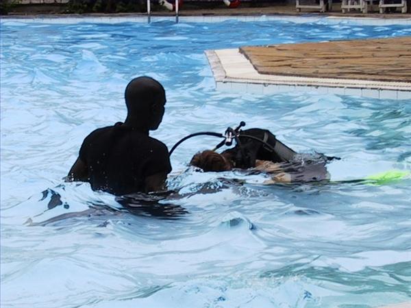Peponi Divers CH - Image 3
