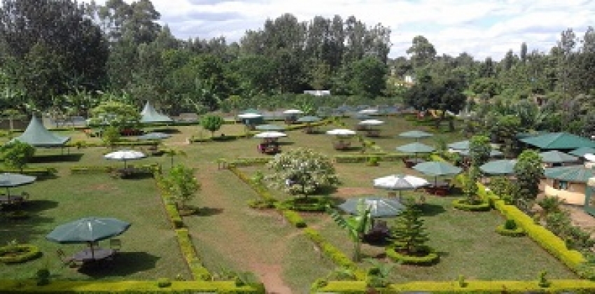 STARWOOD GARDEN - Image 5