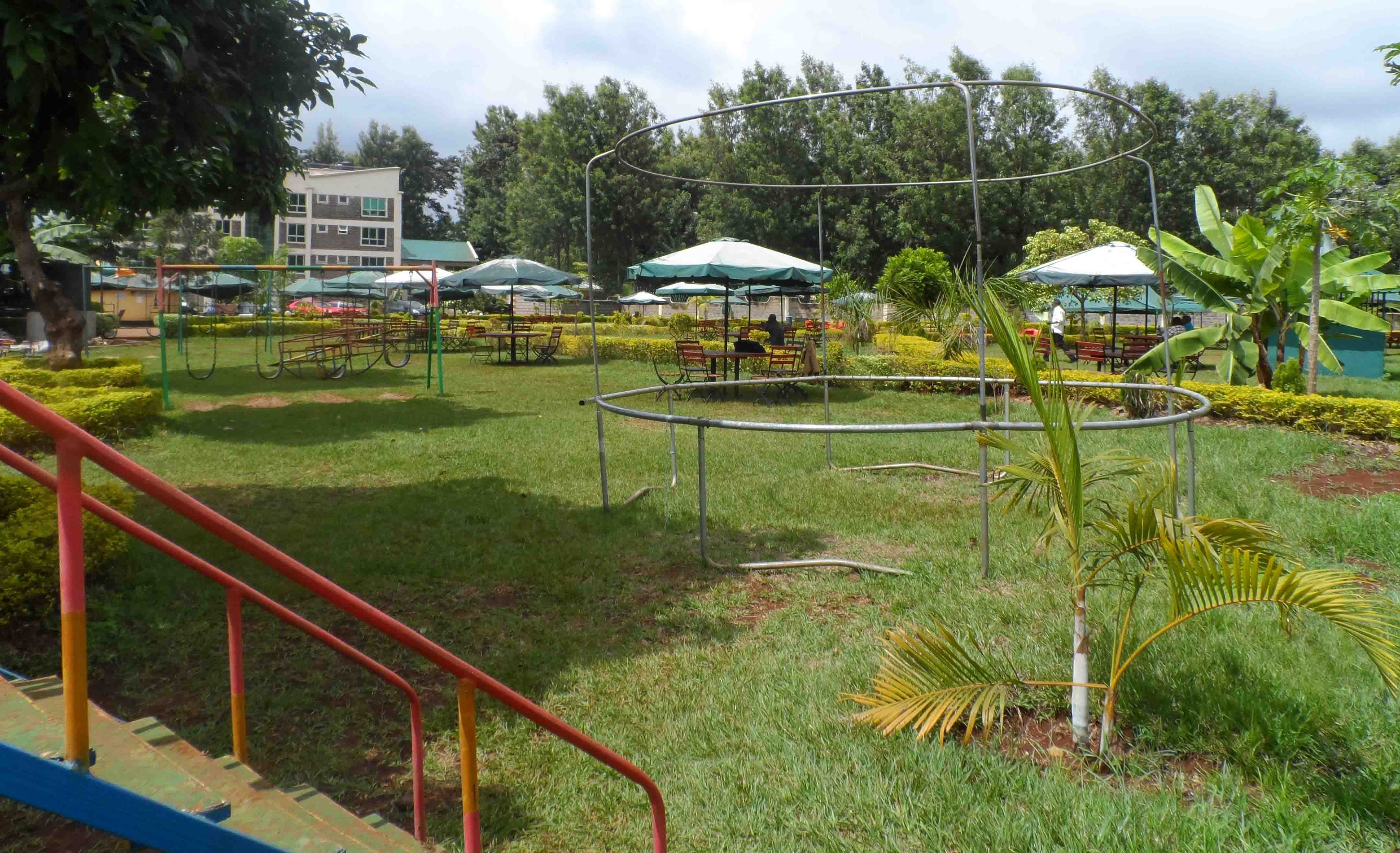 STARWOOD GARDEN - Image 6