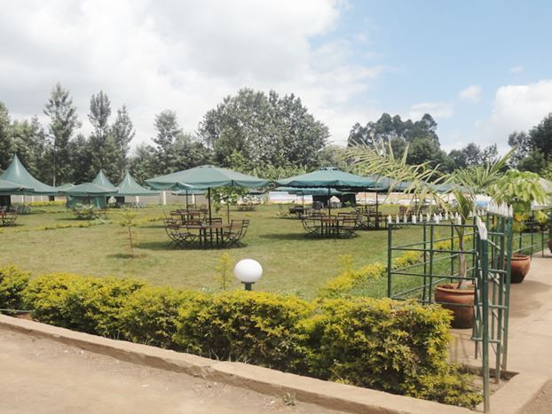 STARWOOD GARDEN - Image 3