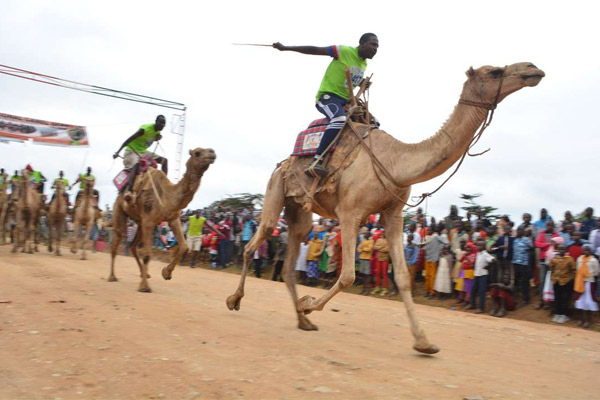Samburu Maralal International Camel Derby - Image 5