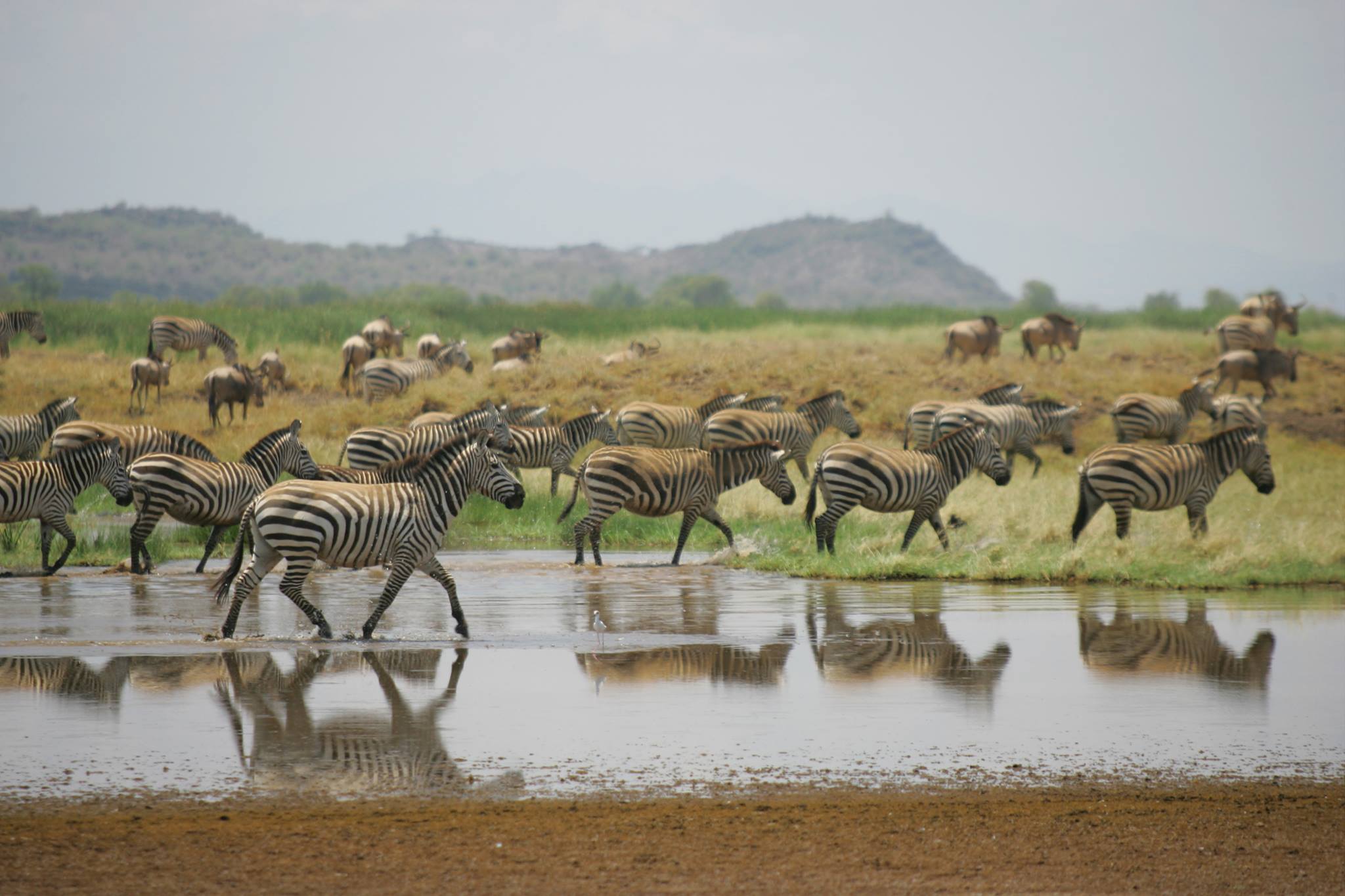 Shompole Conservancy