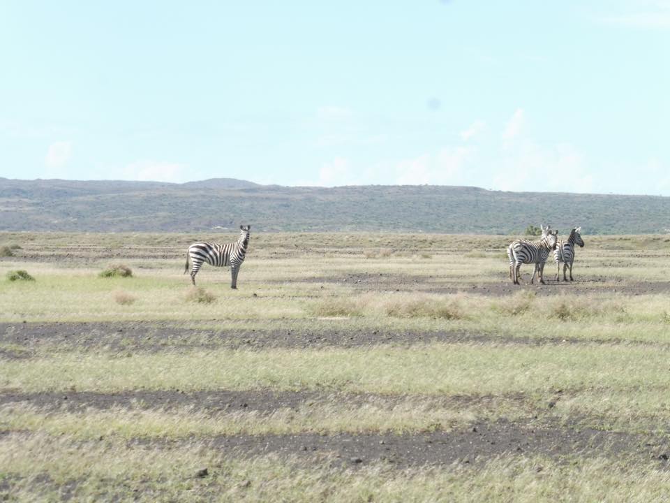 Sibiloi National Park - Image 3