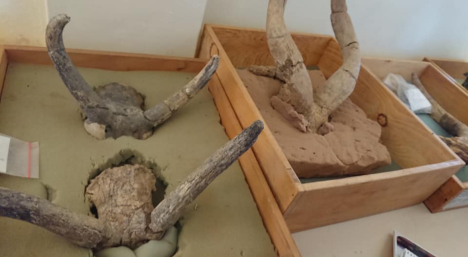 Songhor - Image 3